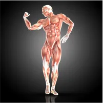 Kas Gerilimini Azaltma