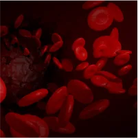 Dolaşımı Artırma