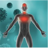 Bağışıklık Sistemini Güçlendirme